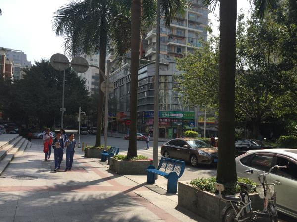 Grupo de estudantes a caminho de casa numa rua em Shenzhen depois das aulas. 