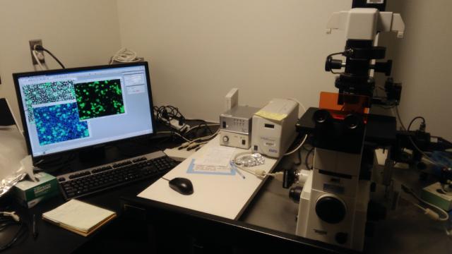 Sala de microscopia para aquisição e processamento de imagens de células e outras amostras biológicas