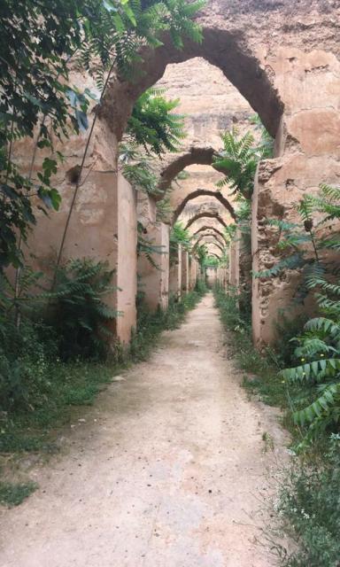 Estabulo Real em Meknes